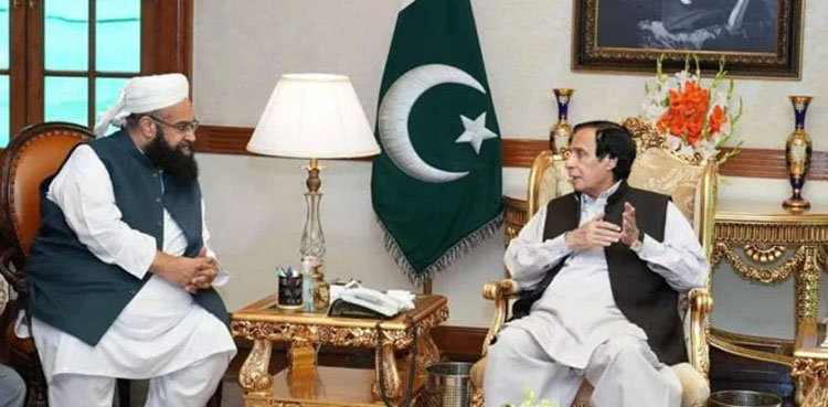 Tahir Ashrafi, Ulema board chairman, Punjab, Punjab Govt