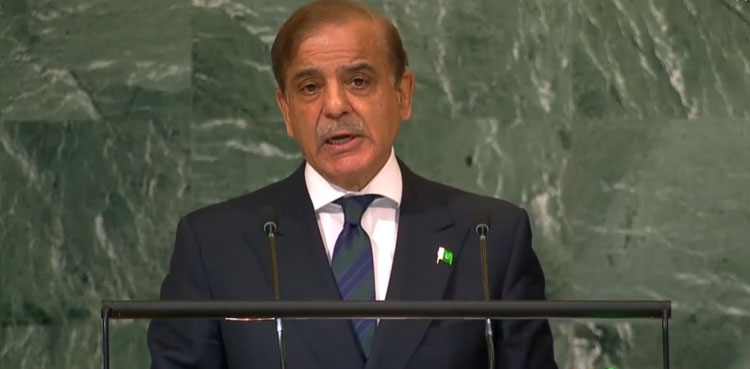 Shehbaz Sharif, UNGA session, addresses, United Nations General Assembly