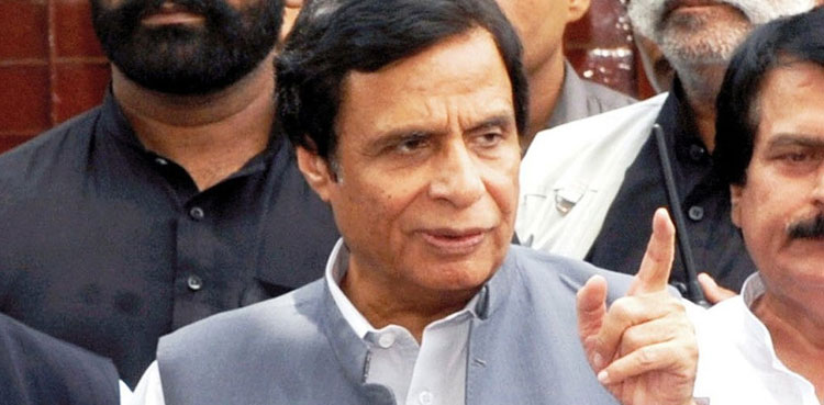 CM Punjab, Pervaiz Elahi, Artists fund