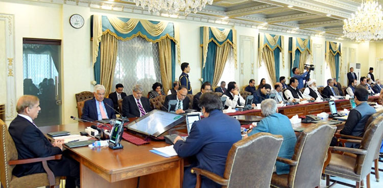 shehbaz sharif, SAPMs, parliamentary secretaries,