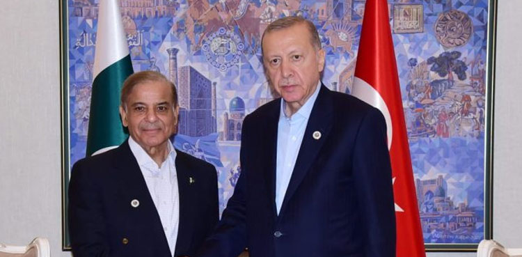 Pakistan, Turkiye, gas pipeline project, Russia