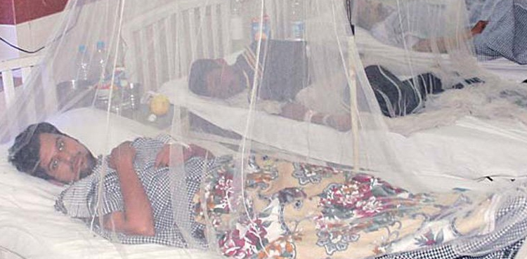 Health emergency imposed, Rawalpindi, rising dengue cases