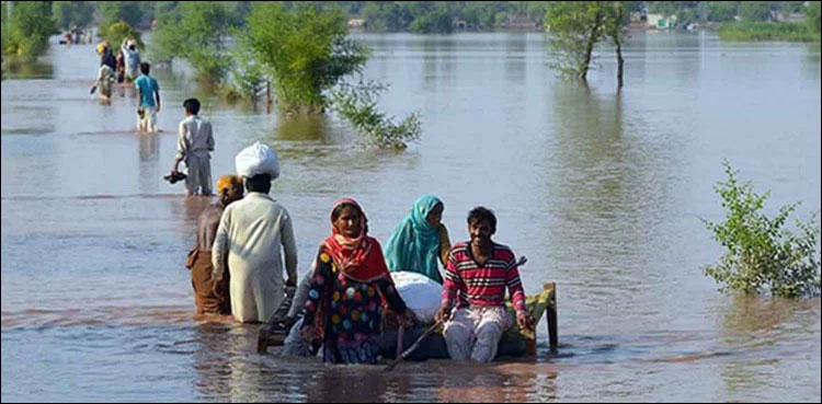 Police foils bid, Ring Bund breach, Dadu