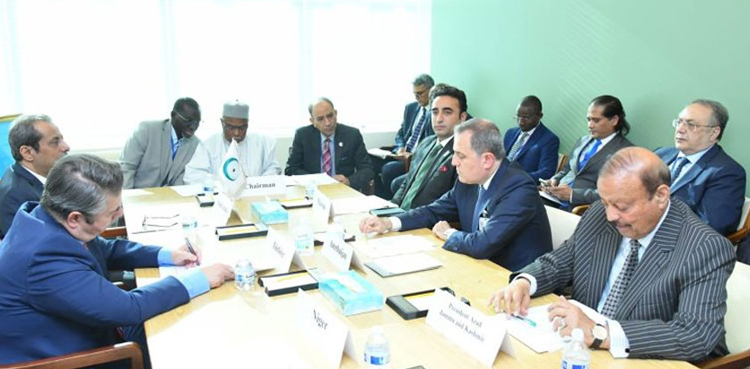 OIC Contact Group, rights, Kashmiris, IoK