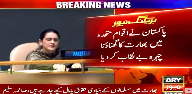 Pakistan, India, terrorism, South Asia