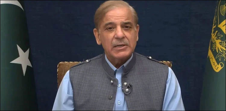 Shehbaz Sharif, Supreme Court, Disqualification, SC