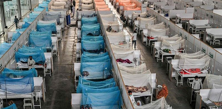 Dengue, cases, on the rise, Balochistan