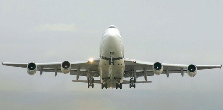 Karachi-bound flight, crash, bird, engine
