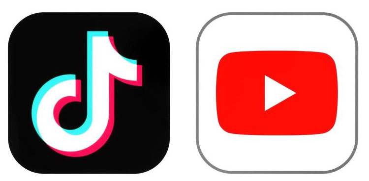 TikToker , Youtuber, National Assembly