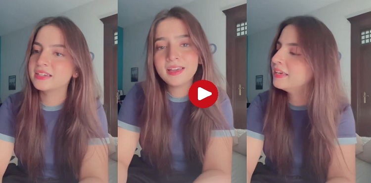 dananeer mobeen singing video viral