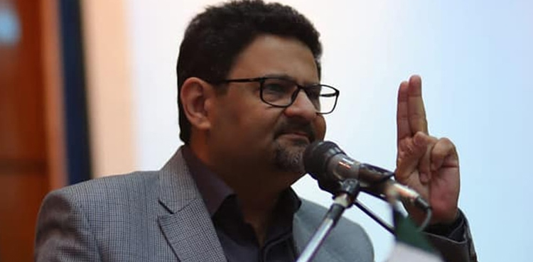 Miftah Ismail, federal minister, portfolio