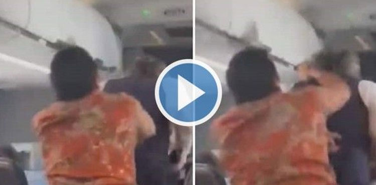 Passenger punches, Attendant video, Flight, Video