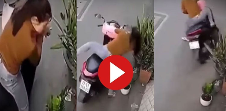 plant-thief,-viral