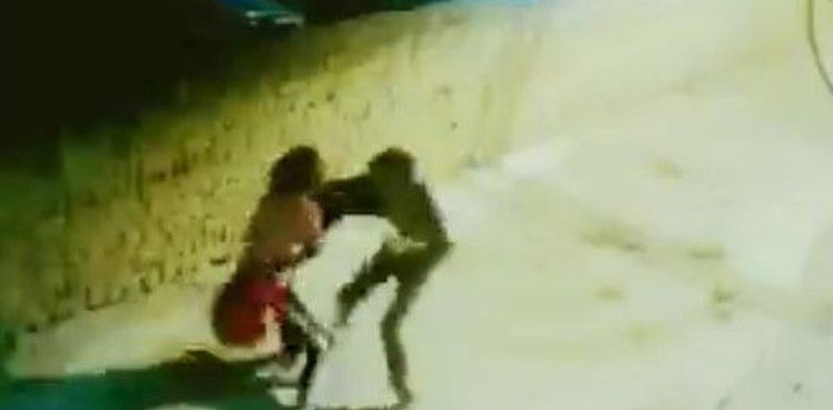 snatcher video, phone snatcher, Woman fights, Viral