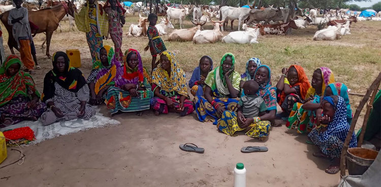 Chad herders without food, milk