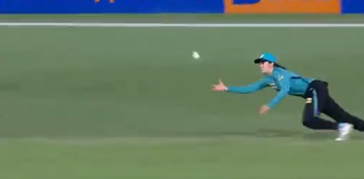catch, amazing catch, charli knott, brisbane heat, adelaide strikers