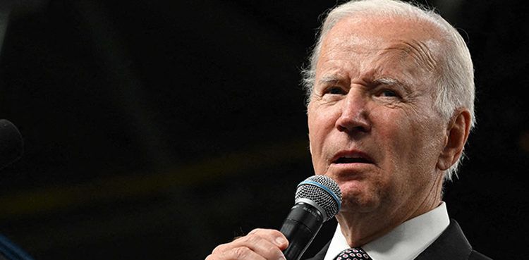 Joe Biden, US president, Arab Americans, Gaza war