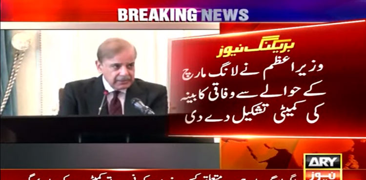 PM Shehbaz Sharif