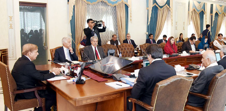 PM Shehbaz Sharif, federal cabinet, line losses, power sector reforms, census
