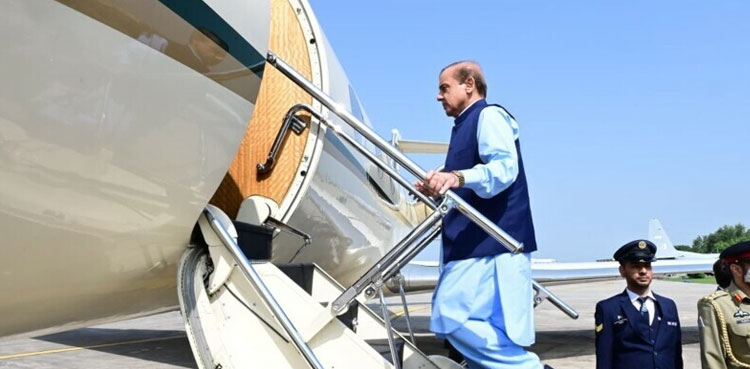Shehbaz Sharif, Egypt, COP
