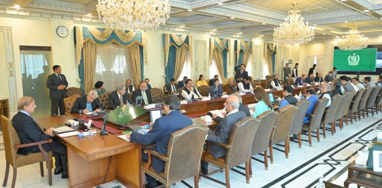 Ministerial committee, Shehbaz Sharif, Energy efficiency,