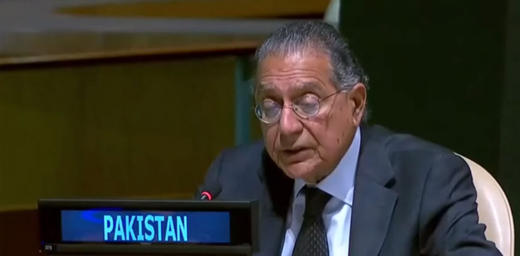 Pakistan, voting, Russia-Ukraine conflict, UNGA