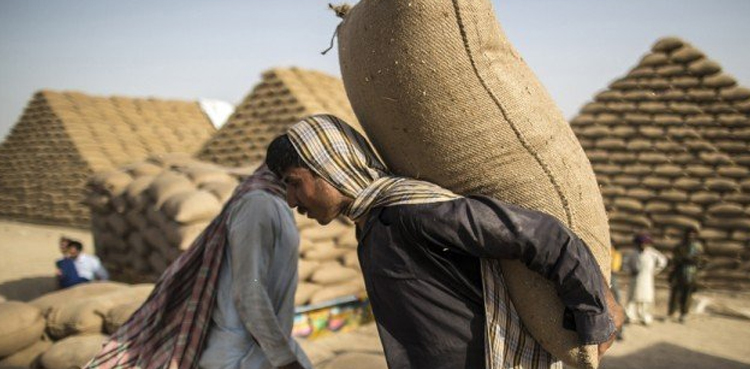India wheat tonne prices