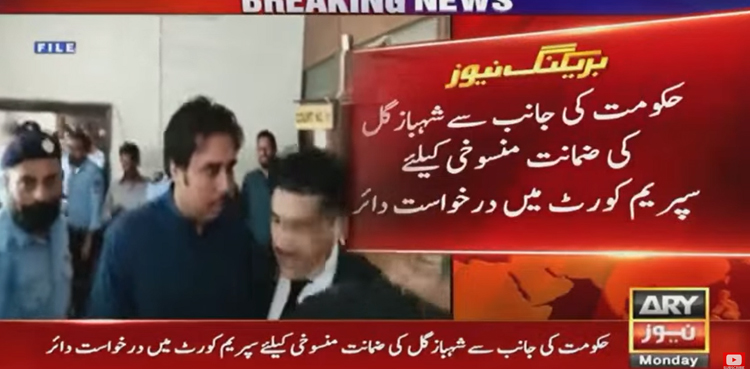 Federal government, Shahbaz Gill, bail, Supreme Court