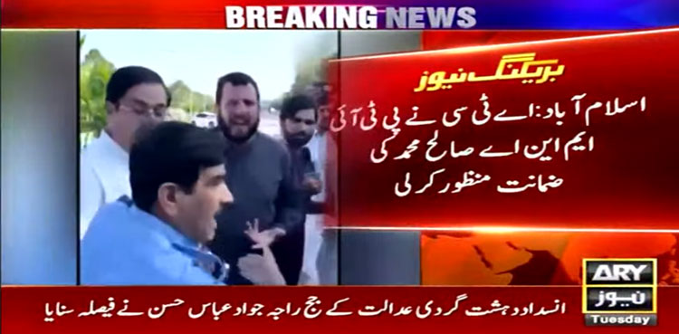 PTI MNA Saleh Muhammad, bail, terrorism case, ATC