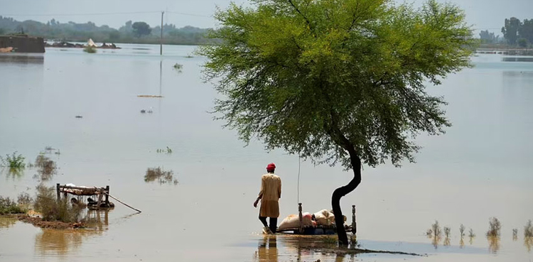 China, Pakistan floods, homes for health workers