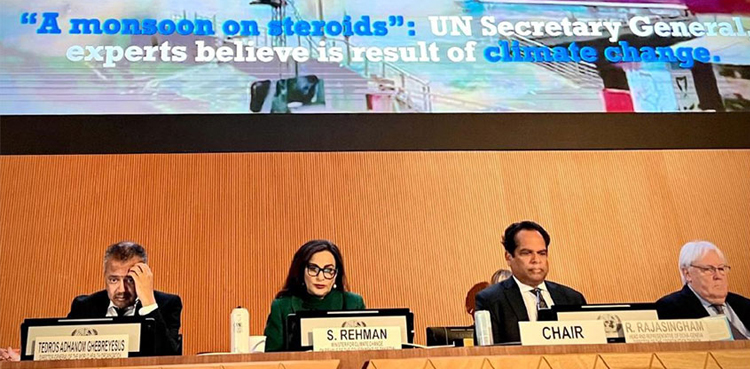 Pakistan, UN, fresh appeal, flood victims