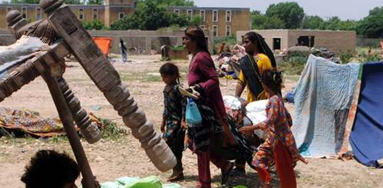 Sindh, joint survey, flood damages