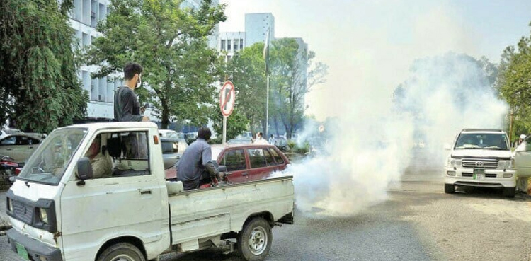 Punjab, dengue fever, dengue cases