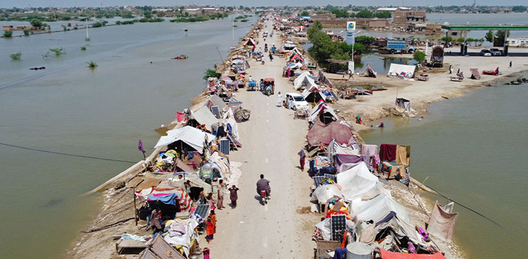 Pakistan Flood, 88 districts, WHO official