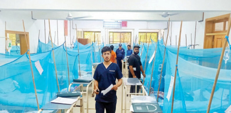 Punjab , dengue cases