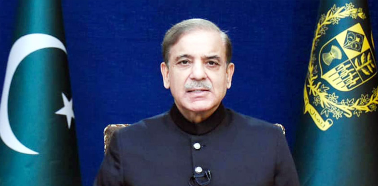 UN COP27, vice presidency, PM Shehbaz Sharif