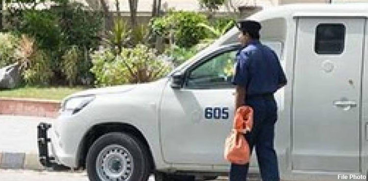 Cash van heist, security guard killing, resisting robbery