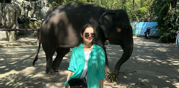 Minal Khan, Safari trip, Minal Khan Actor, Ahsan Mohsin Ikram