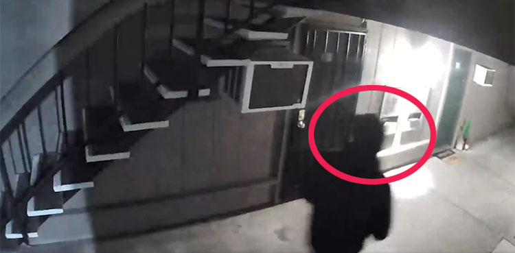 Video of serial killer