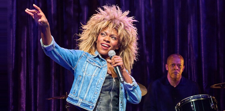 tina turner barbie doll