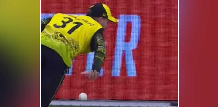 David Warner, T20 World Cup, Australia batter, Sri Lanka