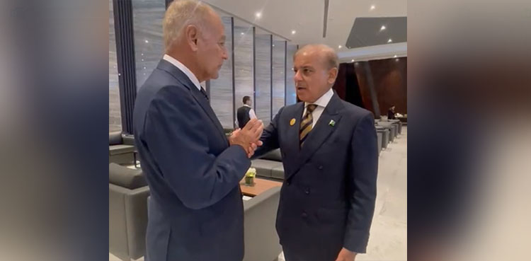 PM Shehbaz Sharif