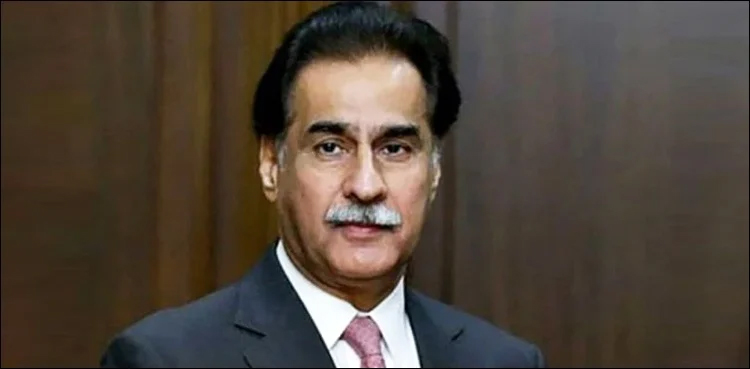 Ayaz Sadiq, ECL committee