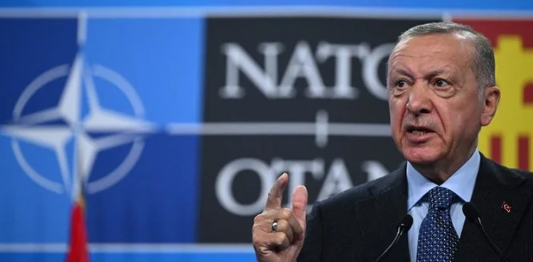 Turkey, NATO bid talks, Sweden Finland