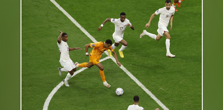 fifa world cup, world cup, fifa, netherlands, senegal