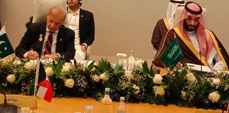 PM Shehbaz Sharif