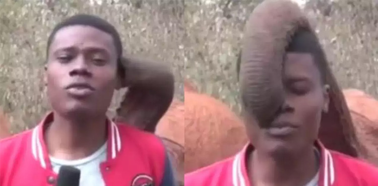 Viral Elephant