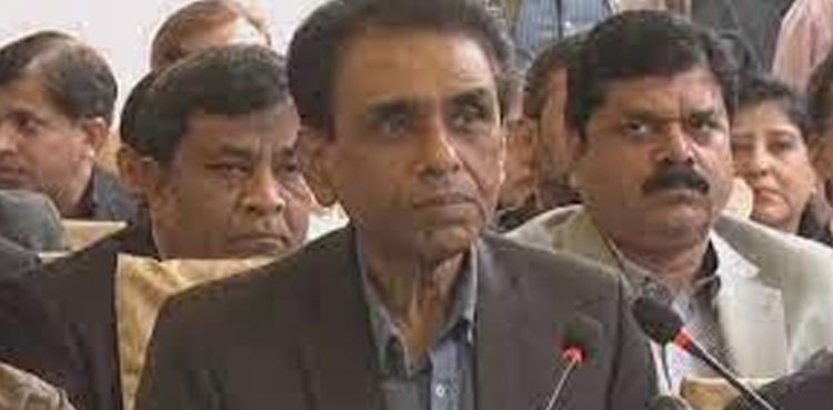 Karachi LG polls, MQM-P, general workers meeting, PPP