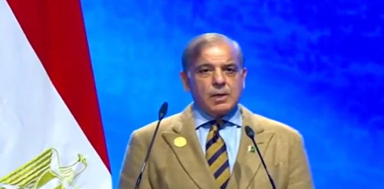 PM Shehbaz Sharif, COP27, flood-hit Pakistan, floods