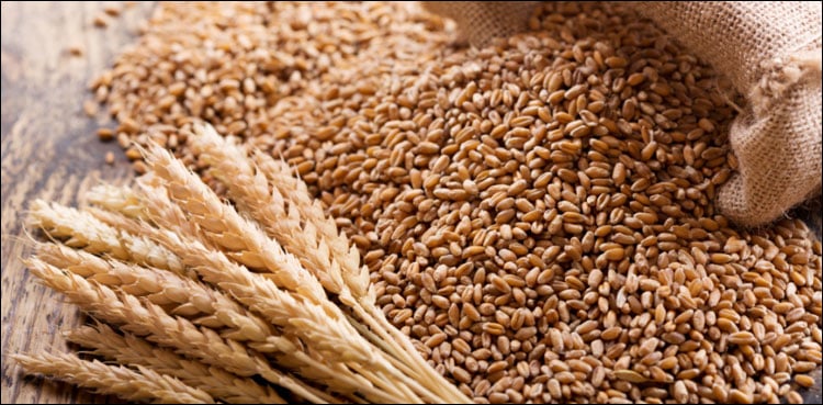 G7 leaders launch initiative for global food security
